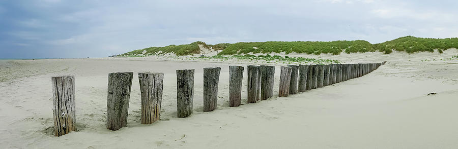 Panoramic view of wooden breakwater along the Dutch coast of Ameland #1 Photograph by Tosca Weijers