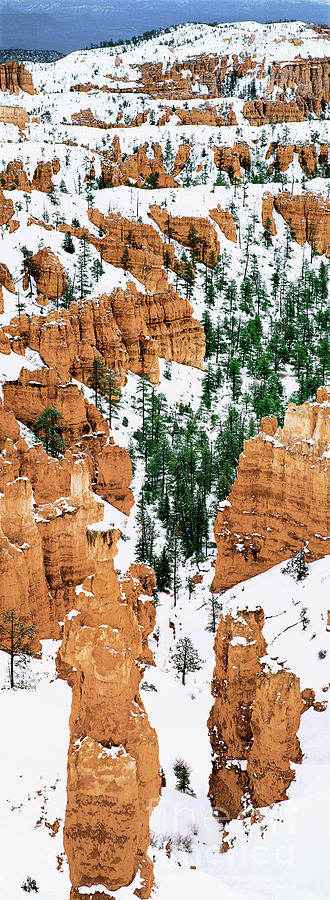 Panoramic Winter Hoodoos Bryce Canyon National Park Photograph by Dave Welling