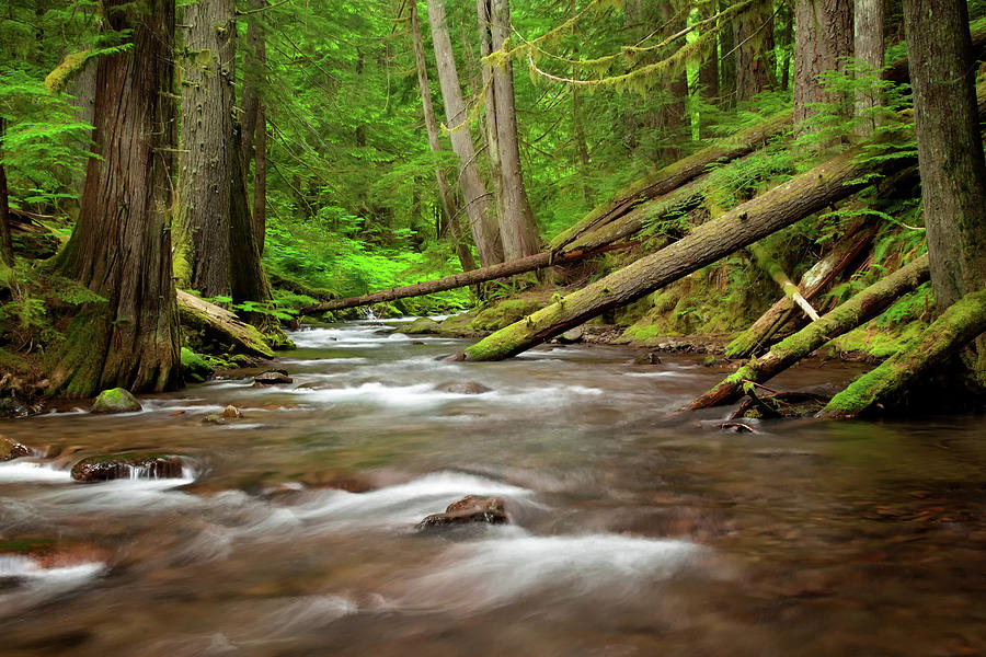 Panther Creek Photograph by John Pedersen - Fine Art America