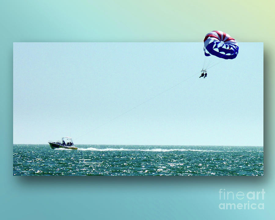 Adventure In The Gulf Photograph By Linda Brittain Fine Art America