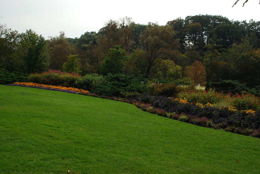Park Landscape Photograph