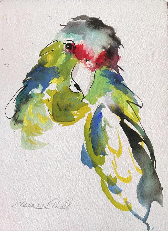 Parrot Portrait  Painting by Elaine Elliott