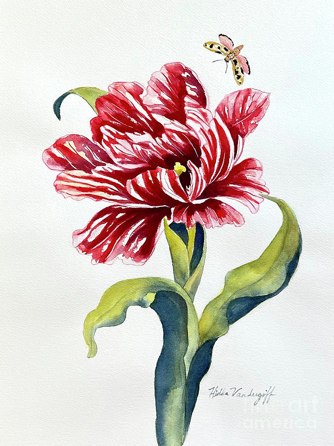Parrot Tulip  #2 Painting by Hilda Vandergriff
