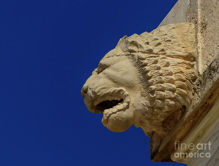 Parthenon Lion #1 Photograph by Patrick Nowotny
