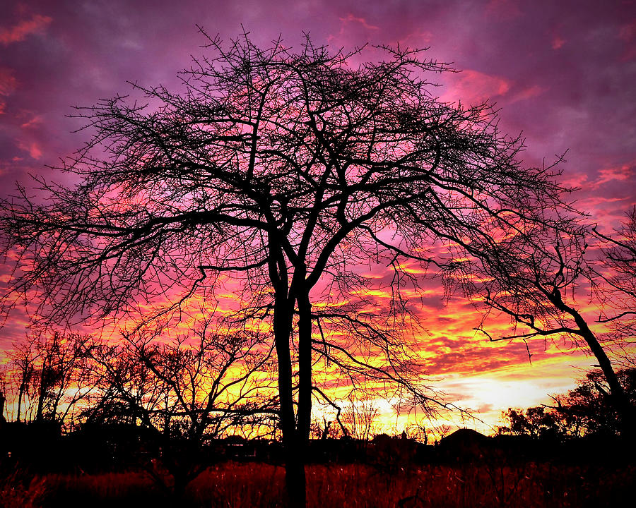 Pastel Sunset #2 Photograph by Jack Riordan