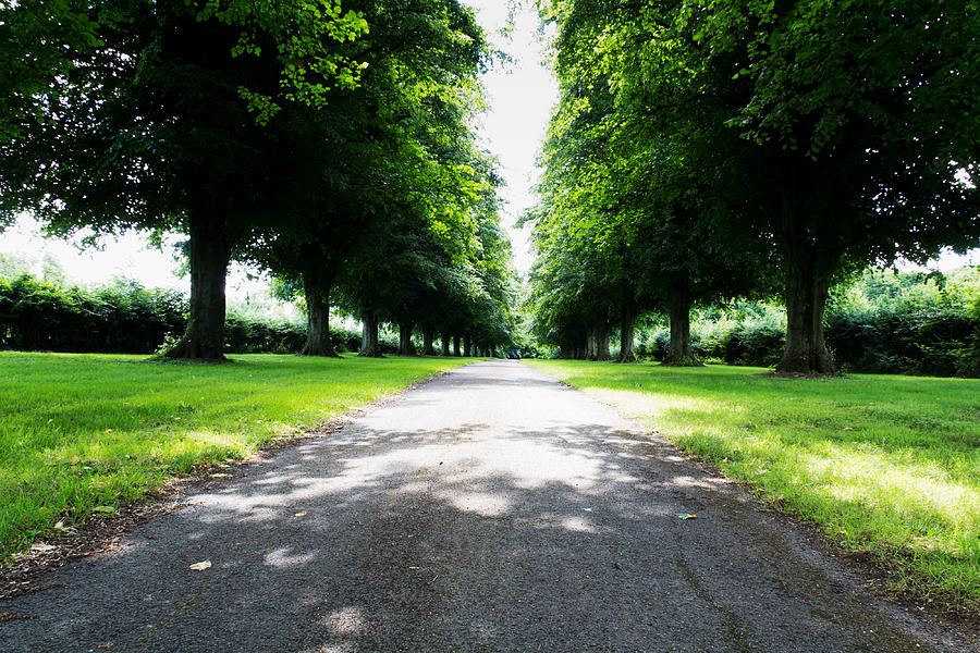 Path surrounded by trees on both sides #1 Photograph by Christopherhall