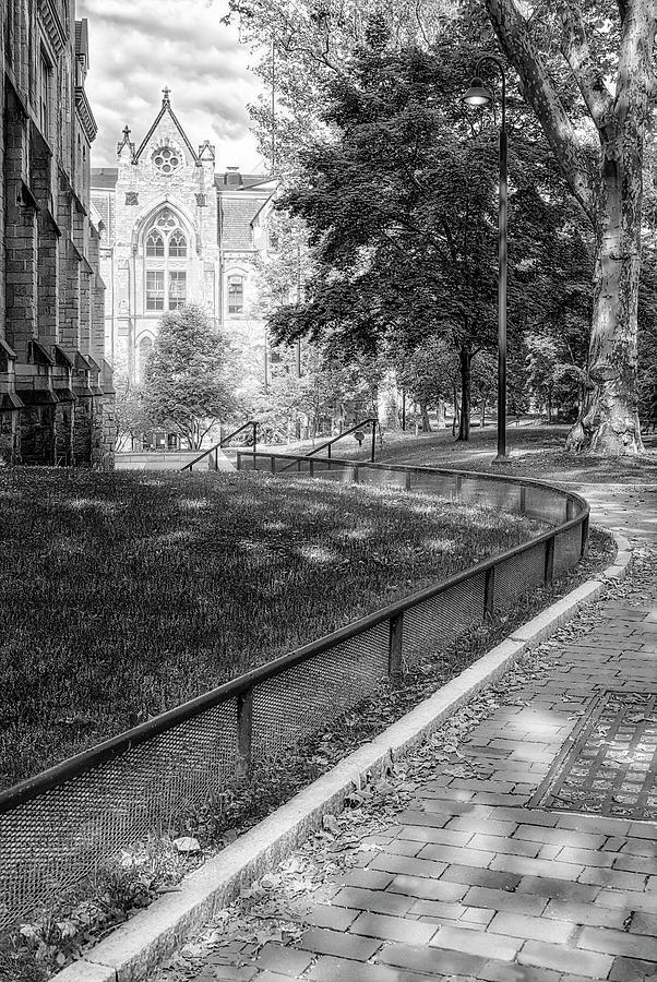 Path to College Hall UPenn #1 Photograph by Susan Candelario
