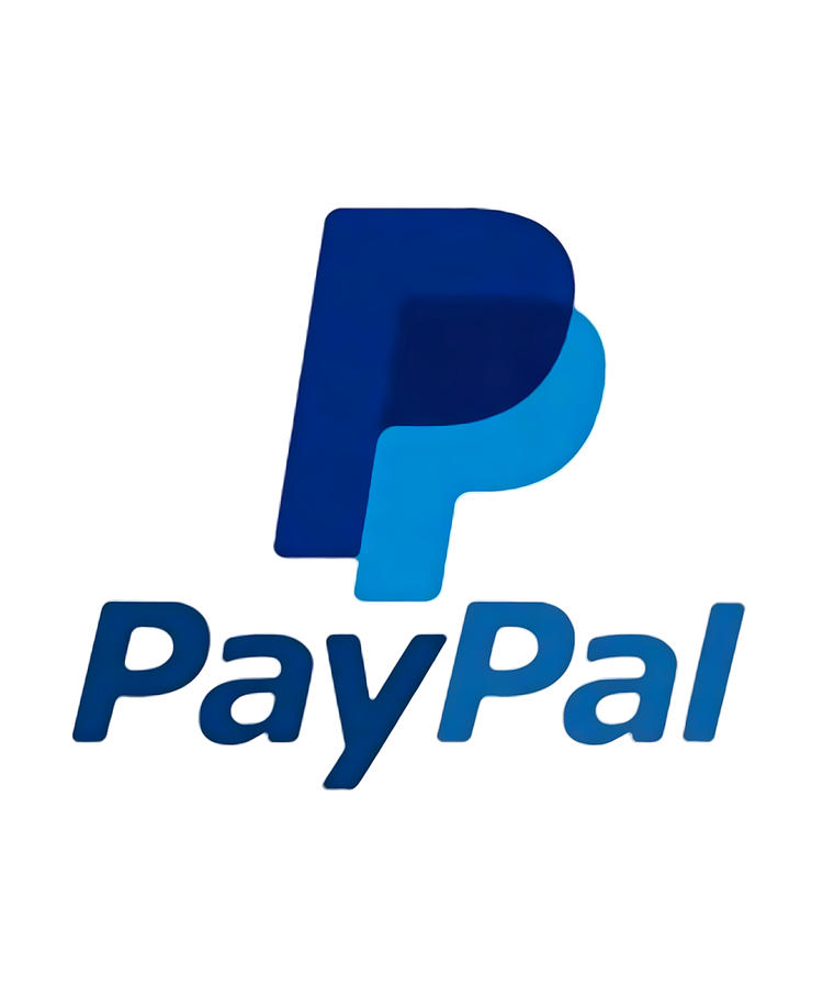 Paypal Digital Art by Pesu Gihan Art