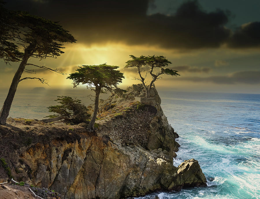 Cypress Point Photograph by John Johnson