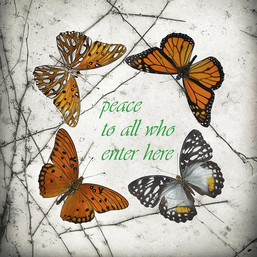 Peace to All Who Enter Here #1 Photograph by Char Szabo-Perricelli