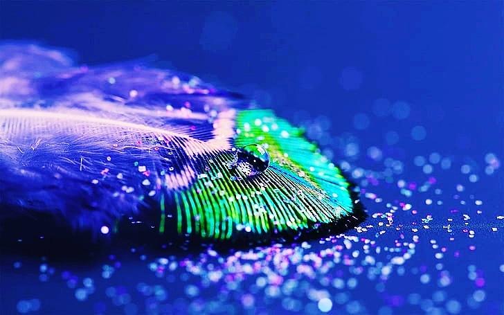 Peacock feather #1 by Parmar Viralkumar