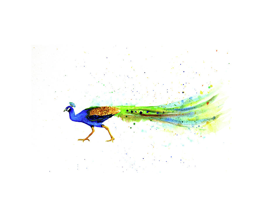 Sold Peacock Watercolor Painting Painting