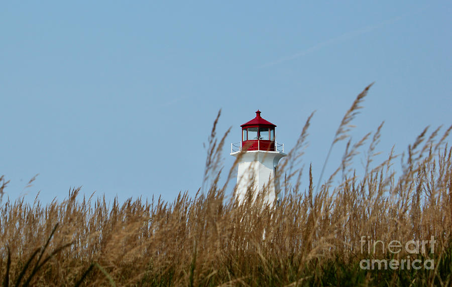 Peggys Cove Lighthouse #1 Photograph by Wilko van de Kamp Fine Photo Art