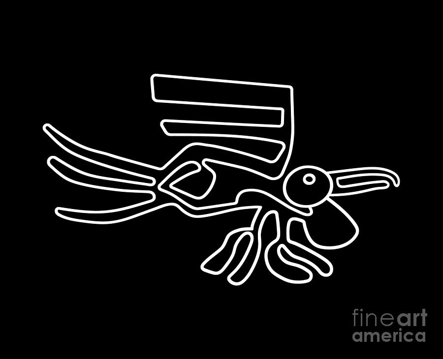 Pelican from Nazca #9 Drawing by Michal Boubin