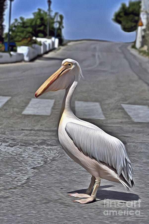 Pelican In Tinos Town Painting