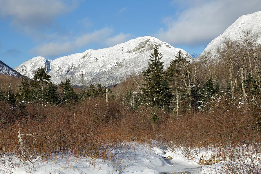 Eagle Cliff - Franconia Notch, White Mountains Photograph by Erin Paul Donovan