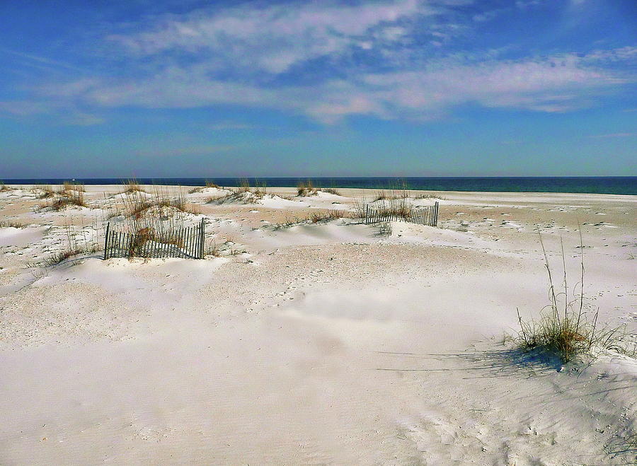 Clearwater Photograph - Pensacola Beach #1 by Anthony Dezenzio