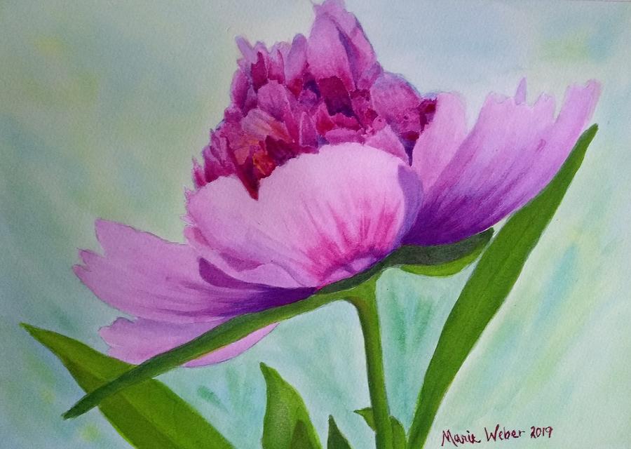 Peony Painting by Marie Weber - Fine Art America