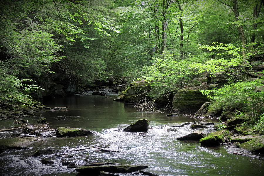 Pequonnock River Valley, Trumbull CT. Photograph by Thomas Henthorn ...