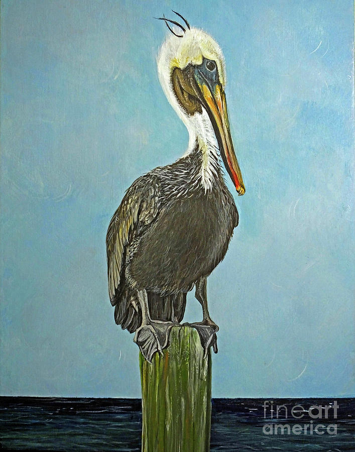 Perched Pelican Painting by Lizi Beard-Ward - Fine Art America