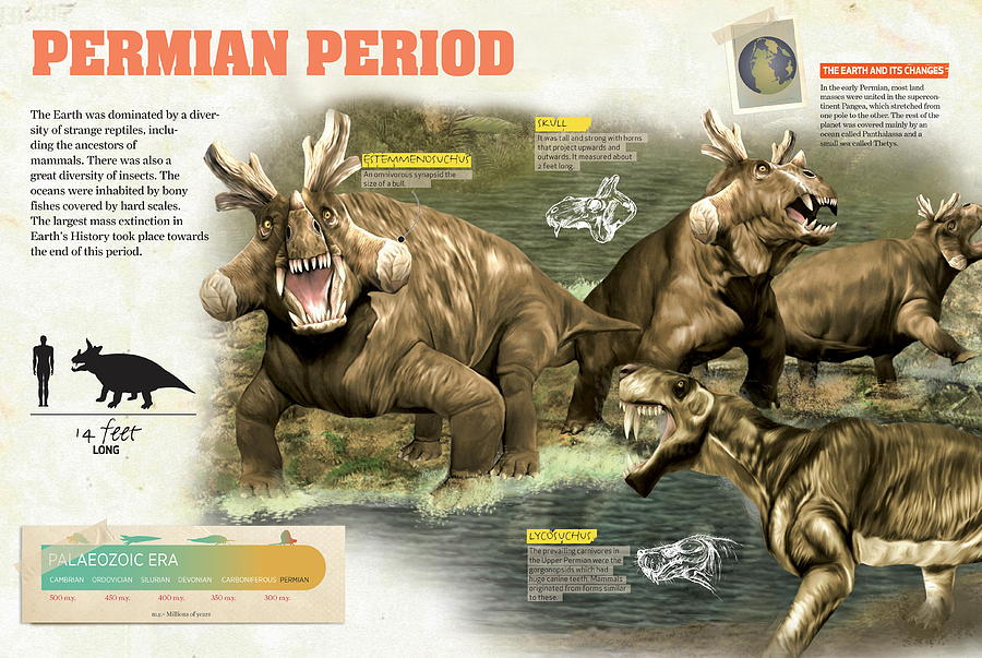 permian period extinction