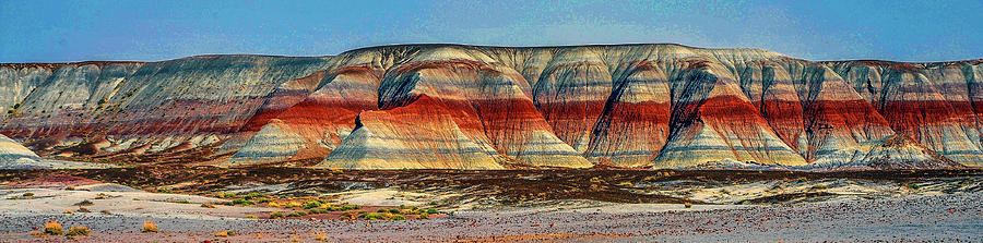 Petrified Forest Panorama #1 Photograph by James C Richardson