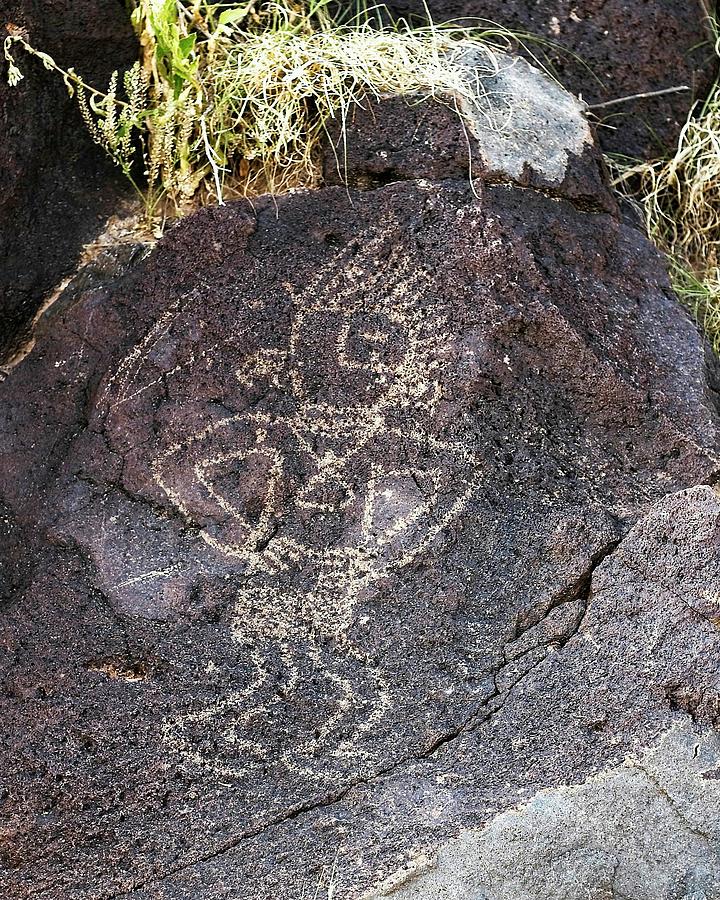 Petroglyphs V - Albuquerque - New Mexico #1 Photograph by Steven Ralser