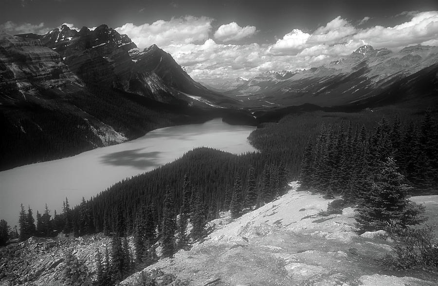 Peyto Lake Photograph By Dave Mills - Fine Art America