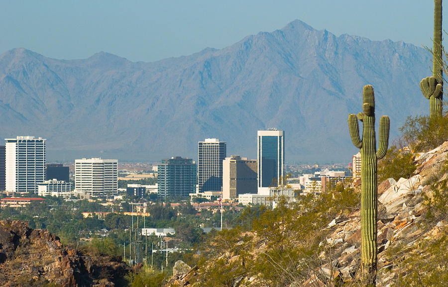 Phoenix skyline and cactus #1 Photograph by Davel5957