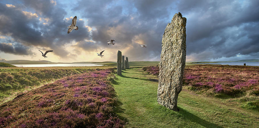 Ancient Stone - Photo of The Ring of Brodgar Stone Circle, Orkney #1 Photograph by Paul E Williams