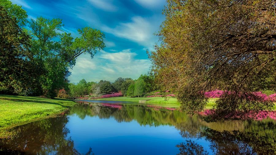 Nature Photograph - Picturesque Bellingrath Gardens, Alabama #1 by Mountain Dreams