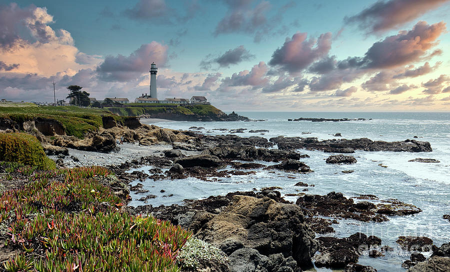Pigeon Point Lighthouse California  #3 Photograph by Chuck Kuhn