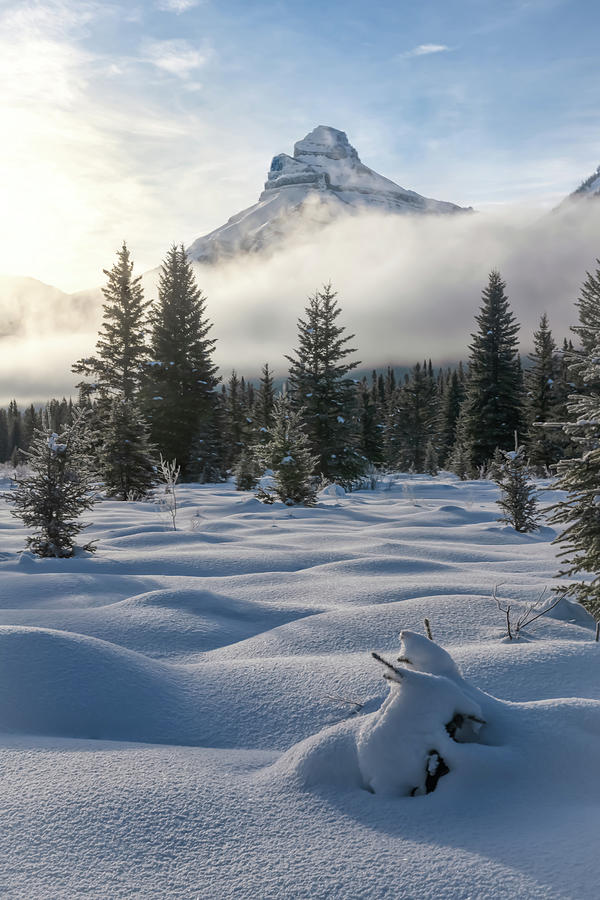 Banff National Park Photograph - Pilot Mountain #1 by Steve Berkley