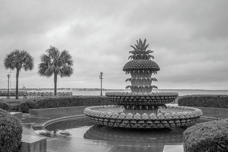 Pineapple Fountain #1 Photograph by Cindy Robinson