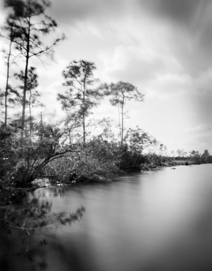 Slash Photograph - Pinhole Pine Glades Lake - 3- Everglades #2 by Rudy Umans