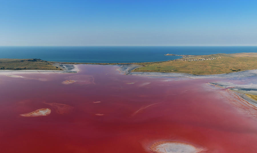 Pink Chokrak lake near Black Sea #1 Photograph by Mikhail Kokhanchikov