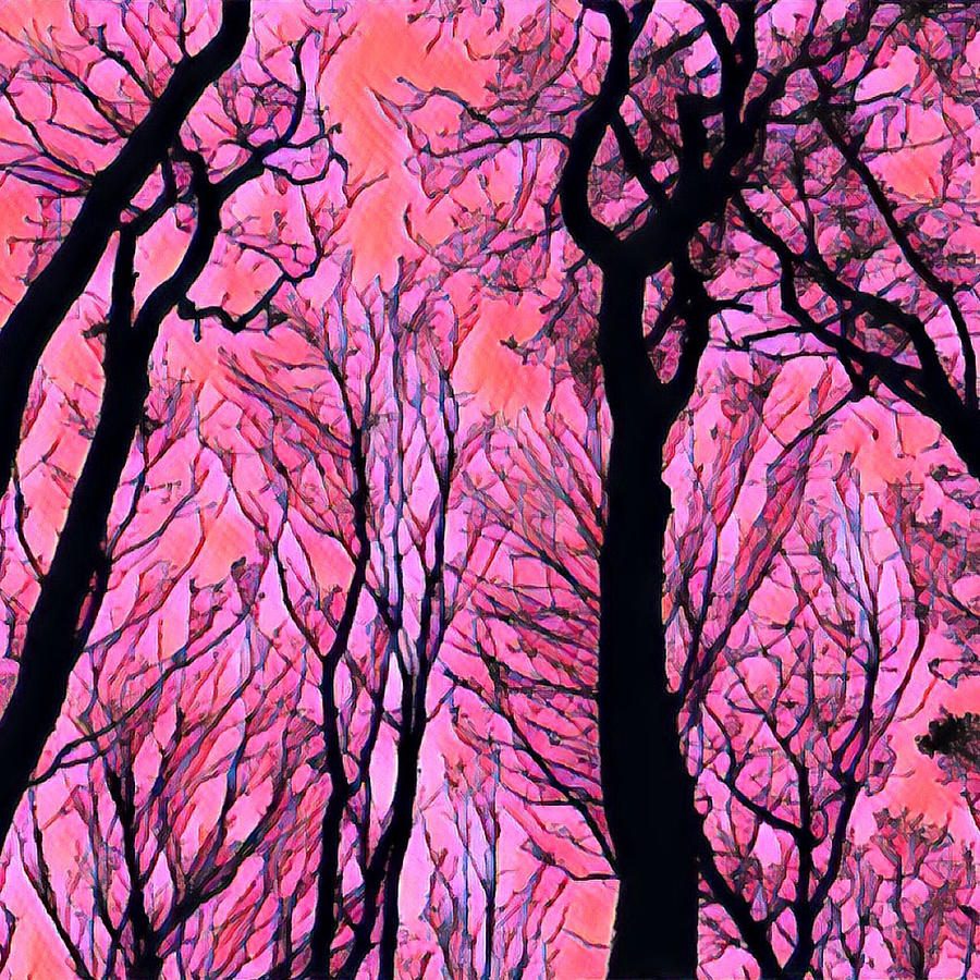 Pink Dawn #1 Mixed Media by Bonnie Bruno
