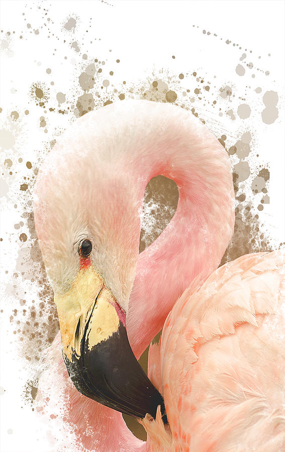 Flamingo Mixed Media - Pink Flamingo  #1 by Darren Wilkes
