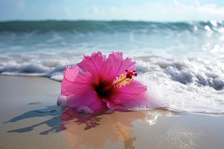 Pink Hibiscus II Photograph by Athena Mckinzie - Fine Art America