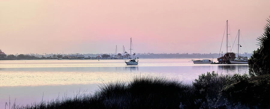 Beach Photograph - Pink Morning by Rick Davis