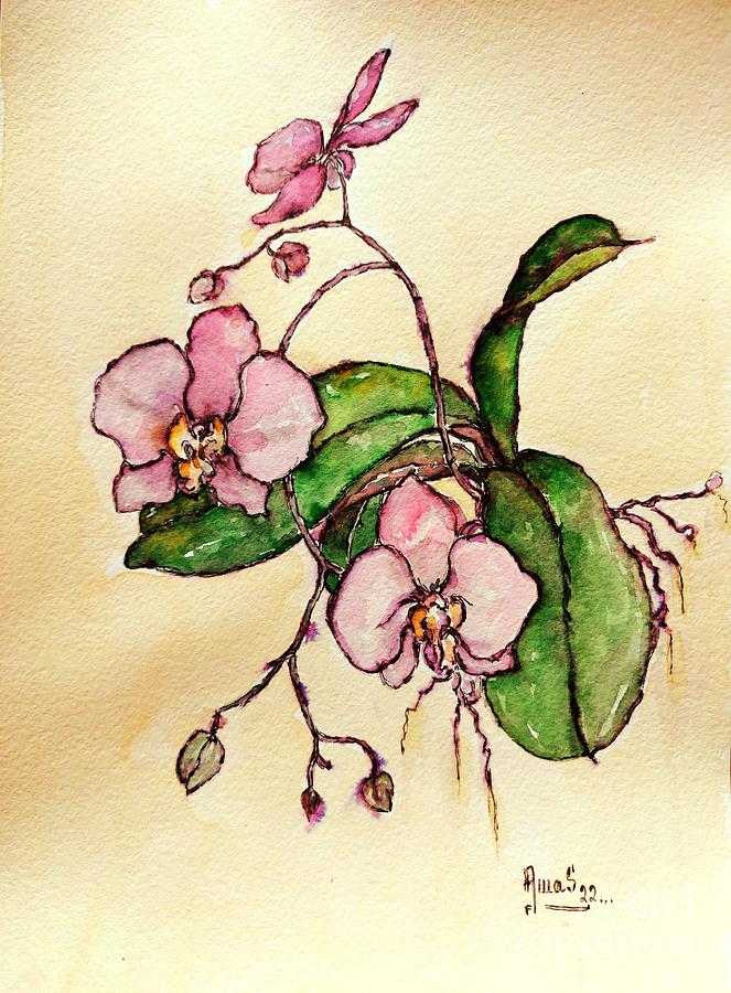 Pink Orchids #1 Painting by Amalia Suruceanu