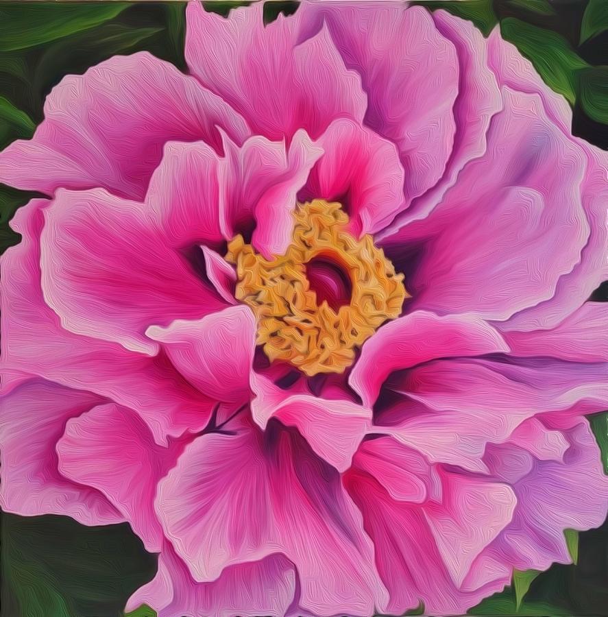 Pink Peony Painting by Marcy Santos - Fine Art America