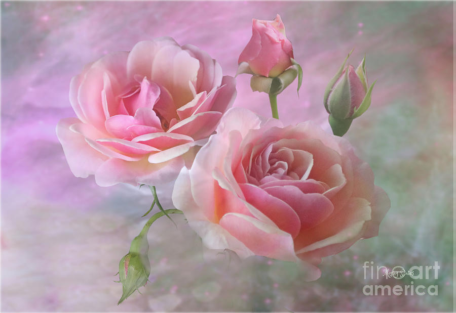 Pink Rose Duet Mixed Media by Morag Bates