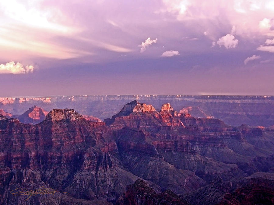 Pink Sunset on North Rim of Grand Canyon Photograph by Tyger Gilbert ...