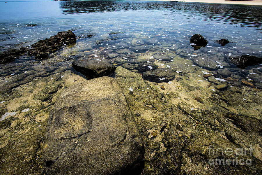 Pebbles Photograph - Plain Rocks  #1 by Gabriel Cusmir