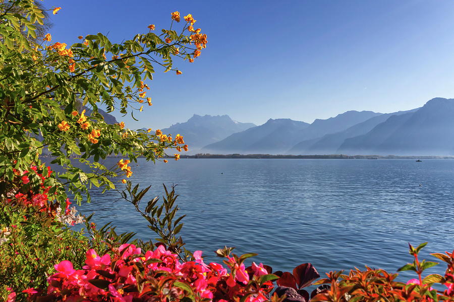 Plants and flowers next to Geneva Leman lake at Montreux, Switzerland #1 Photograph by Elenarts - Elena Duvernay photo