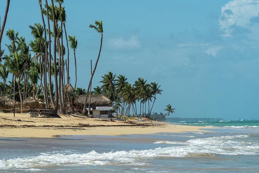 Playing in the Punta Cana Sun Photograph by Andrew Webb Curtis - Fine ...