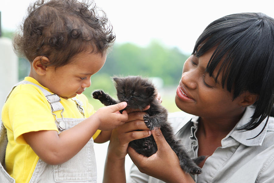 Playing with a kitten #1 Photograph by Kirin_photo