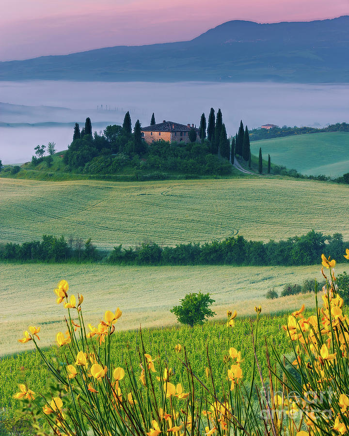 Podere Belvedere in morning light, near between Pienza and San Q #1 Photograph by Henk Meijer Photography