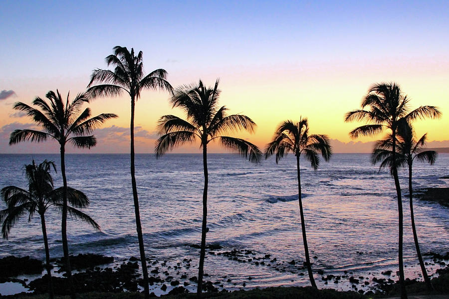 Poipu Palms at Sunset Photograph by Robert Carter